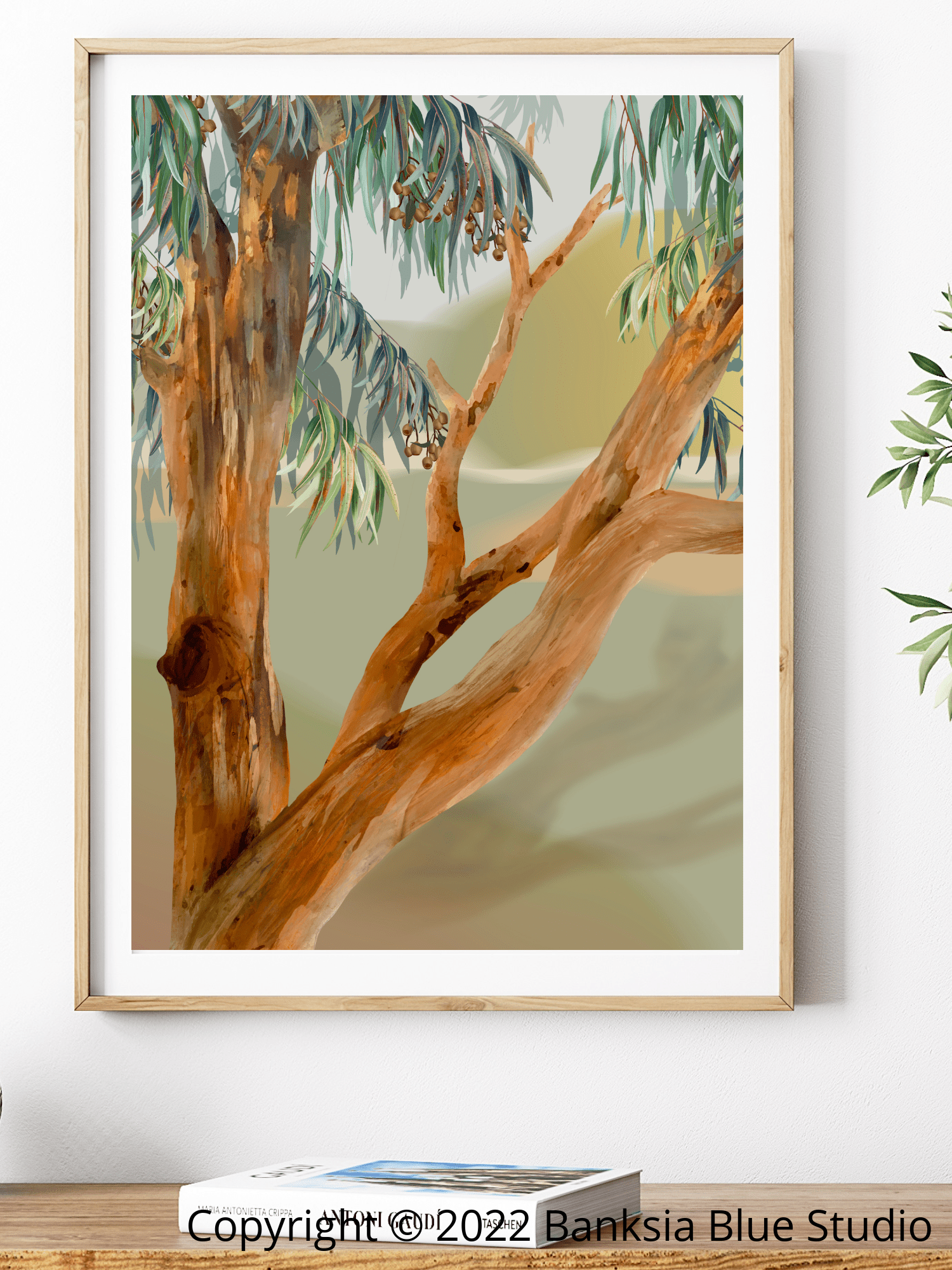 Allawah Australian Grevillea Sustainable Timber Framed Canvas