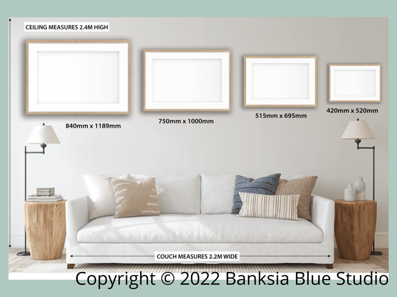 Banksia Blue Studio 750MM X 1000MM Beacon Of The Bush| White Waratah 1000 x 700mm