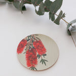 Banksia Blue Studio Coaster Collection|  Australian "Nature Inside"  - Christmas Bottlebrush Set of 4