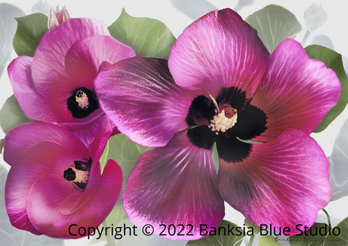 Banksia Blue Studio "Alkira"|Australian Berry Hibiscus Framed Wall Print Natural-Landscape