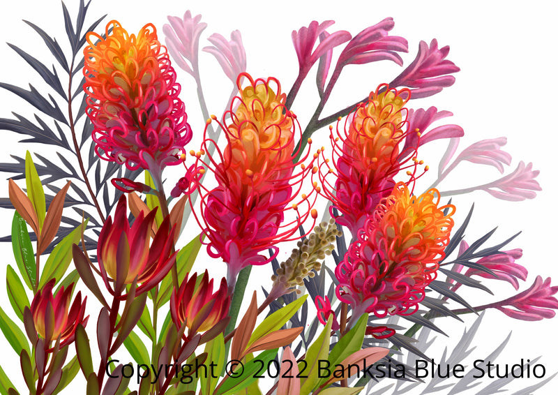 Banksia Blue Studio "Allawah"| Australian Grevillea Timber Framed Canvas Print- Landscape