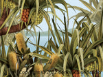 Banksia Blue Studio " Amaroo"| Noosa Tea Tree Bay Framed Wall Print 1 Black-Landscape