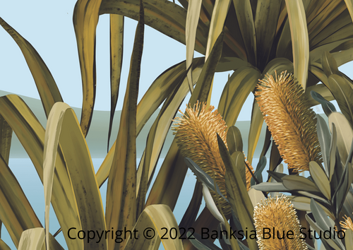 Banksia Blue Studio "Amaroo"|Noosa Tea Tree Bay Unframed Wall Art Print 2 -Landscape