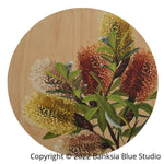 Banksia Blue Studio Australian Wood Decor- Coastal Banksia