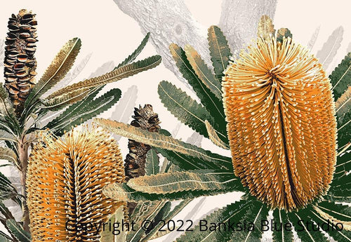 Banksia Blue Studio "Banyula"| Australian Coastal Banksia Tree Timber Framed Canvas Print-Landscape