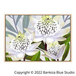 Banksia Blue Studio "Beacon Of The Bush"|  Australian Waratah Timber Framed Canvas Print-Landscape