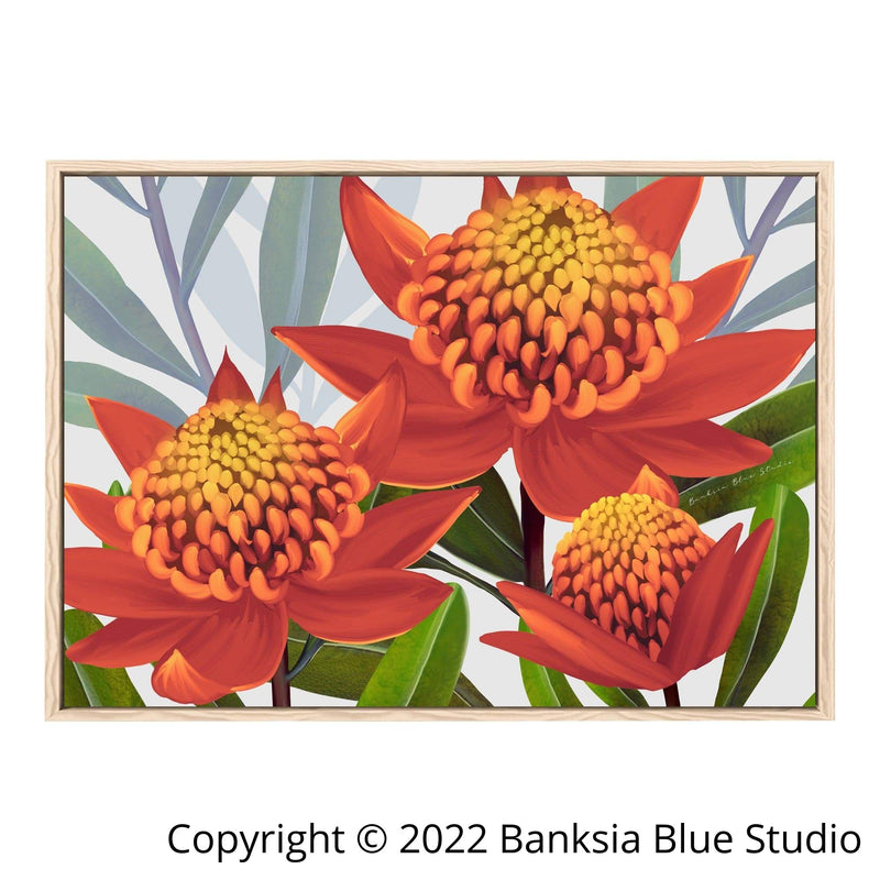 Banksia Blue Studio " Beacon Of The Bush"| Australian Waratah Timber Framed Canvas Print-Landscape