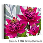 Banksia Blue Studio " Beacon Of The Bush"| Framed Canvas Print - Australian Waratah Pink-Landscape