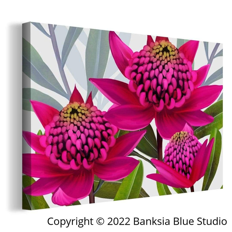 Banksia Blue Studio " Beacon Of The Bush"| Framed Canvas Print - Australian Waratah Pink-Landscape