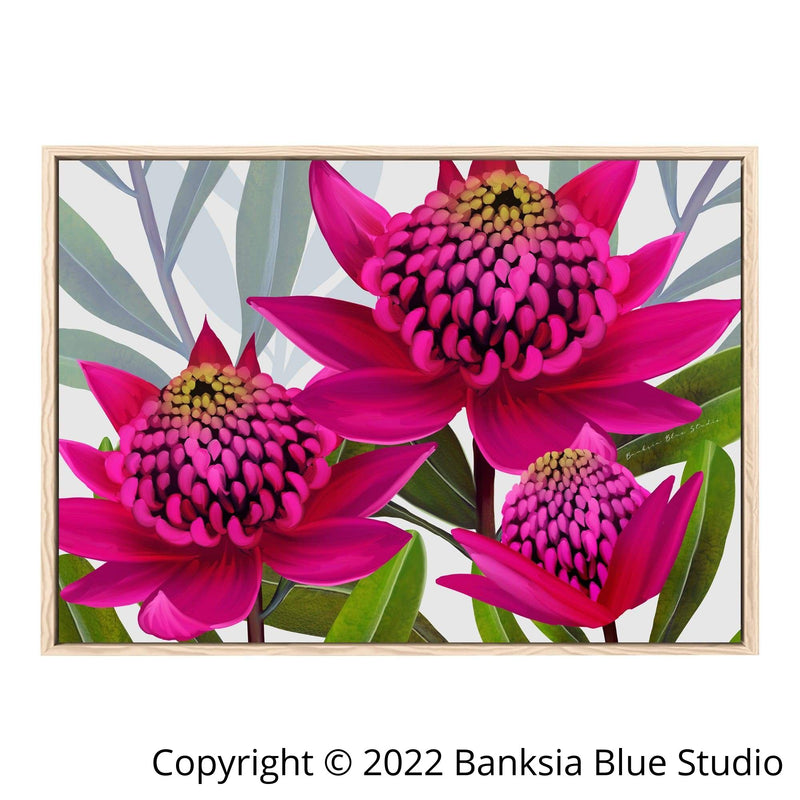 Banksia Blue Studio " Beacon Of The Bush"Pink| Australian Waratah Timber Framed Canvas Print-Landscape