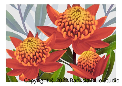 Banksia Blue Studio " Beacon Of The Bush Tangerine"|Tangerine Waratah Framed Wall Print Natural- Landscape