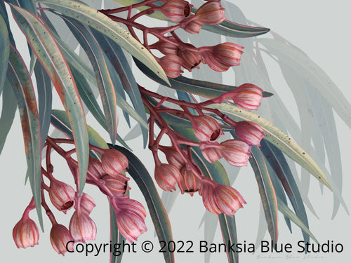 Banksia Blue Studio "Boroondara 1 " Australian Blue Gum Eucalyptus Timber Framed Canvas Print- Landscape