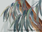 Banksia Blue Studio "Boroondara 2" |Australian Blue Gum Eucalyptus Canvas Art Print - Landscape