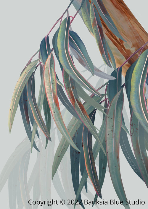 Banksia Blue Studio "Boroondara 2" |Australian Blue Gum Eucalyptus Canvas Art Print - Portrait