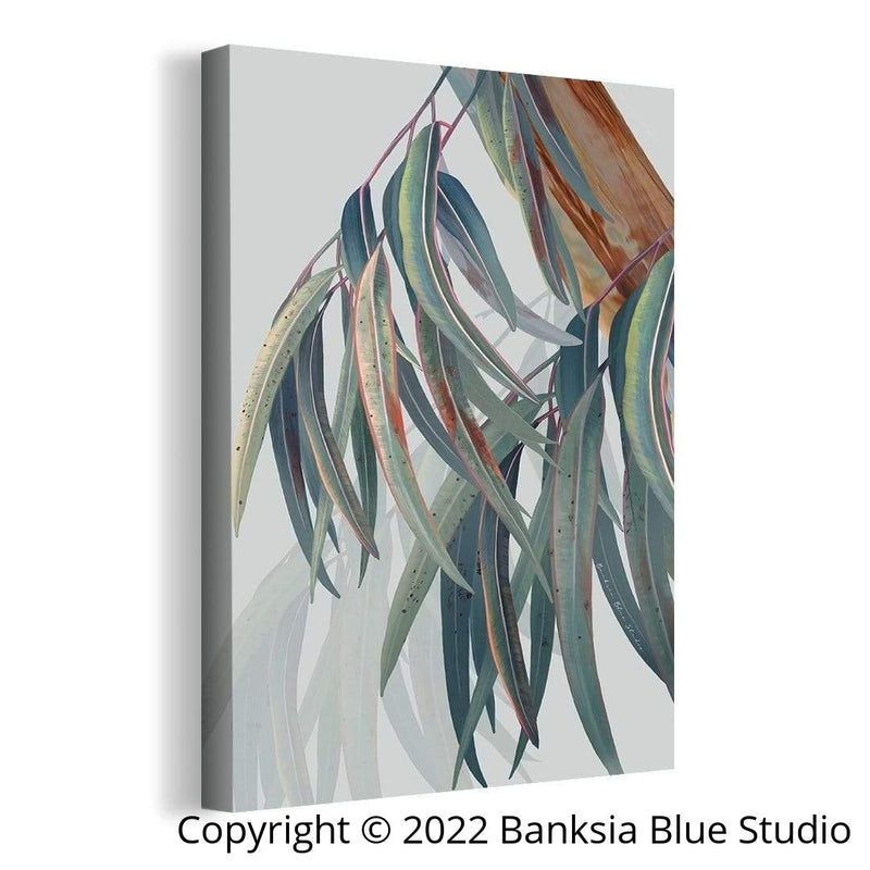 Banksia Blue Studio "Boroondara 2" |Framed Canvas Print Australian Blue Gum Eucalyptus