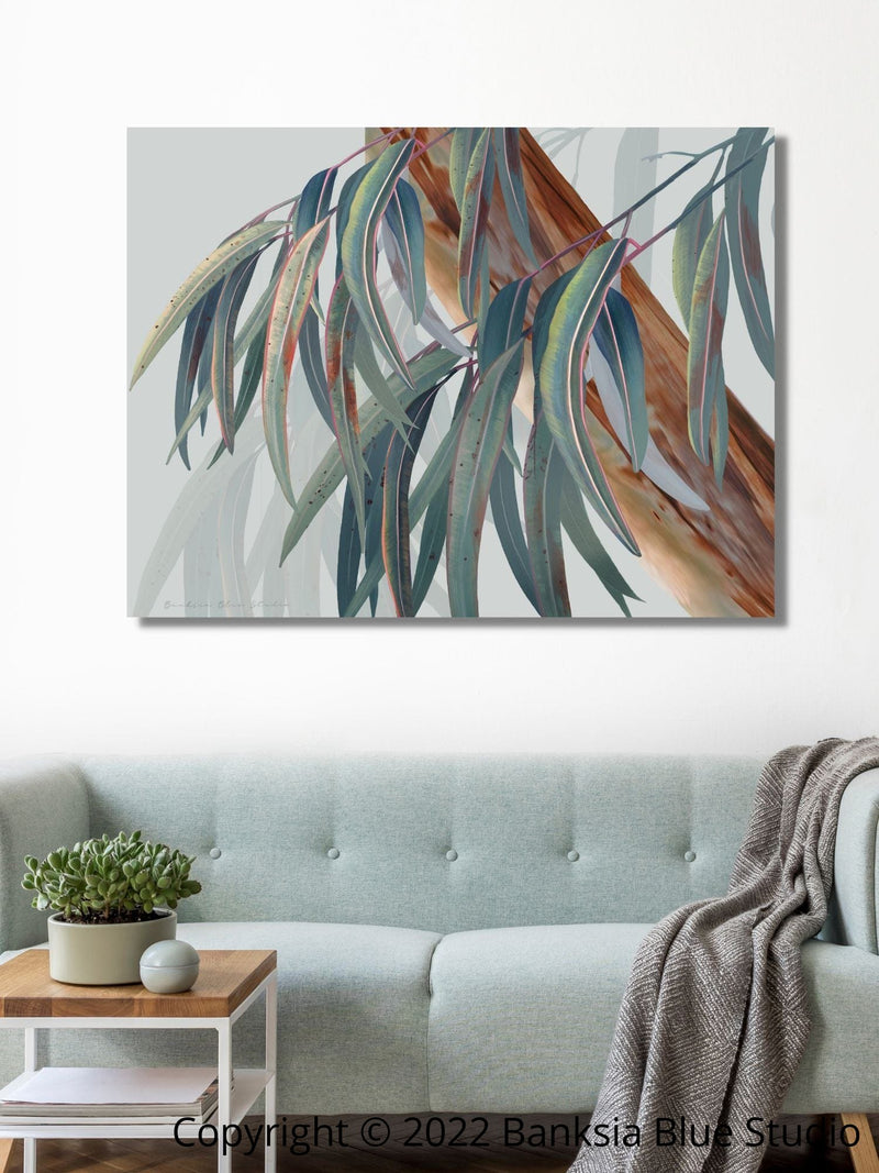 Banksia Blue Studio "Boroondara 2" |Framed Canvas Print  Australian Blue Gum Eucalyptus-Landscape