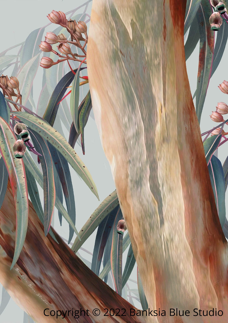 Banksia Blue Studio "Boroondara 3 " | Australian Blue Gum Eucalyptus Timber Framed Canvas Print - Portrait