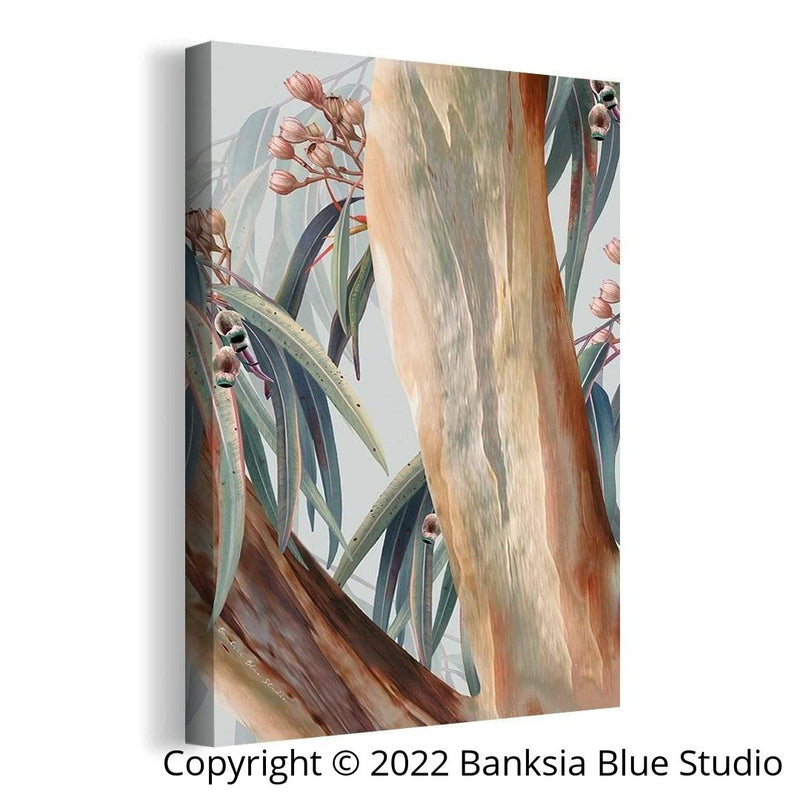 Banksia Blue Studio "Boroondara 3" | Framed Canvas Print Australian Blue Gum Eucalyptus