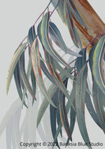 Banksia Blue Studio "Boroondara Print 2"| Blue Gum Eucalyptus 2Framed Wall Print Natural-Portrait
