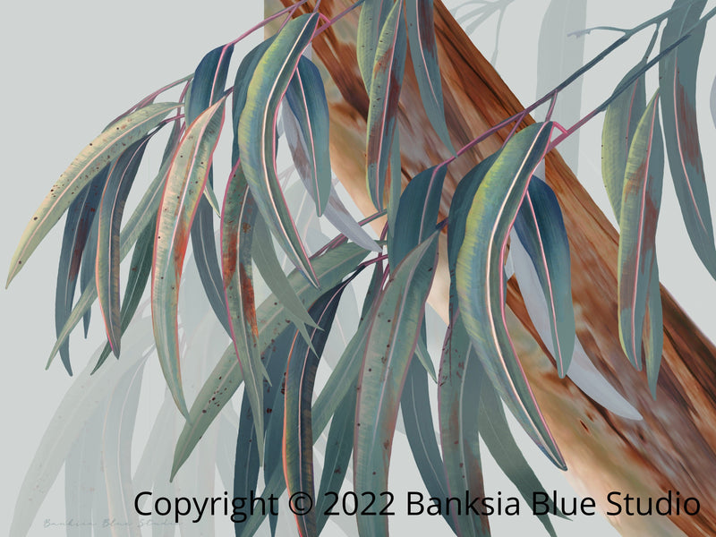 Banksia Blue Studio "Boroondara Print 2"|Blue Gum Eucalyptus Framed Wall Print Natural- Landscape