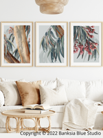 Banksia Blue Studio Boroondara Trilogy |Australian Blue Gum Eucalyptus 3 Piece Wall Art- Natural Framed