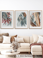 Banksia Blue Studio Boroondara Trilogy |Australian Blue Gum Eucalyptus 3 Piece Wall Art- Natural Framed