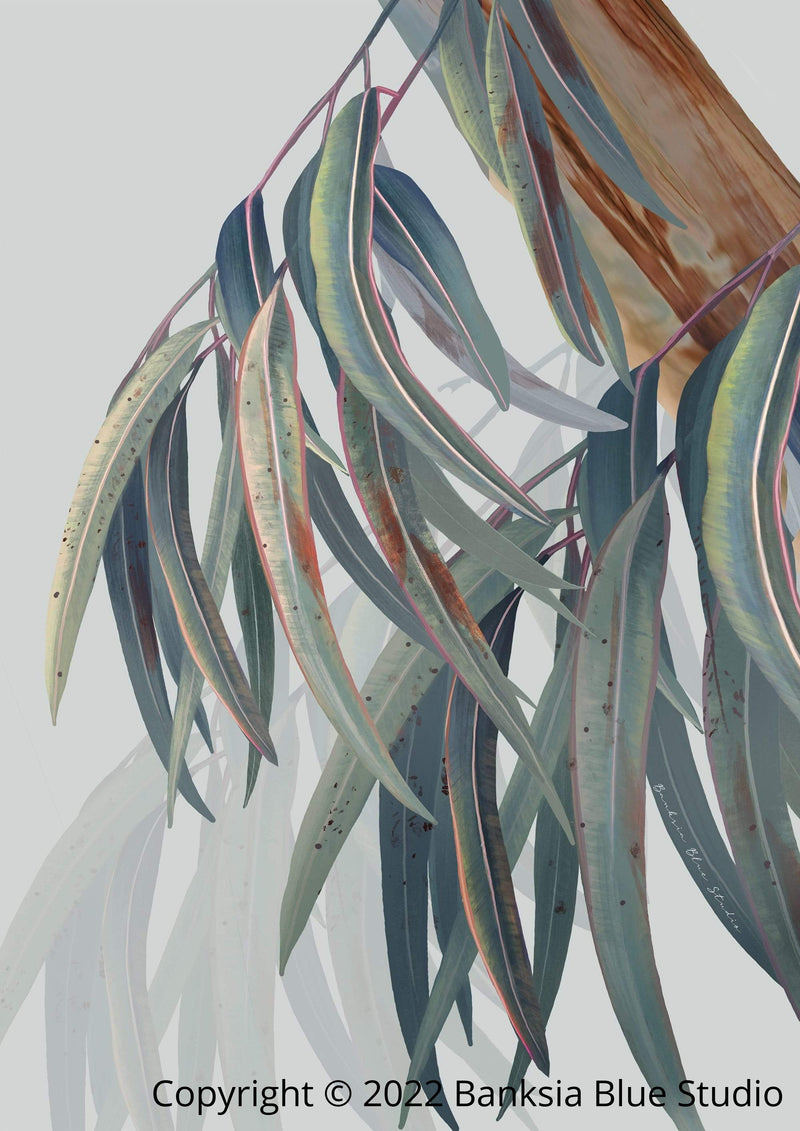 Banksia Blue Studio "Boroondarra 2"|Australian Blue Gum Eucalyptus Framed Wall Print Black-Portrait