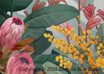 Banksia Blue Studio "Bundaleer"|Australian Bush Scene Framed Wall Print Black-Landscape