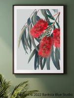 Banksia Blue Studio "Carinya"|Australian Bottlebrush Framed Wall Print Black-Portrait