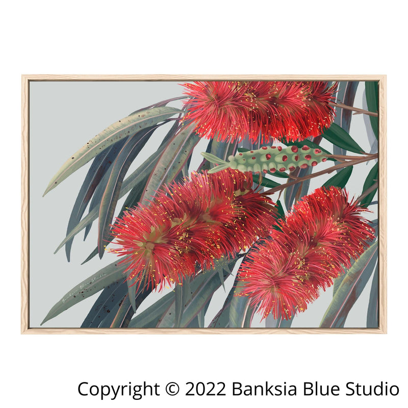 Banksia Blue Studio "Carinya"| Australian Bottlebrush Timber Framed Canvas Print-Landscape