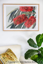 Banksia Blue Studio "Carinya"|Bottlebrush Framed Wall Print Natural-Landscape