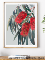 Banksia Blue Studio "Carinya"| Bottlebrush Framed Wall Print Natural - Portrait