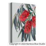 Banksia Blue Studio "Carinya"|Framed Canvas Print Australian Bottlebrush-Portrait