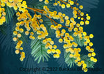 Banksia Blue Studio " Golden Spirit " |Australian Coastal Wattle Canvas Art Print -Landscape