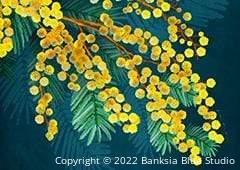 Banksia Blue Studio "Golden Spirit"| Framed Canvas Print Australian Golden Wattle - Landscape