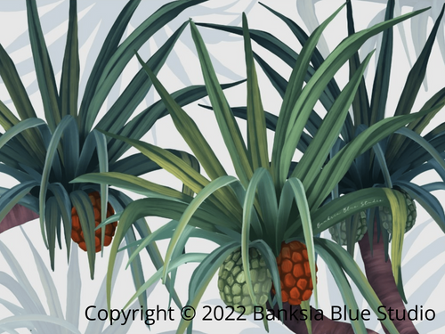 Banksia Blue Studio "Iluka" |Australian Pandanus Wall Art Print - Landscape