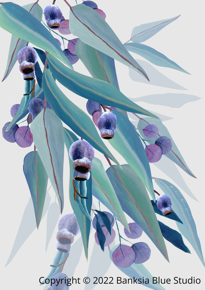 Banksia Blue Studio " Jarrah Dreaming" |Australian Blue Gum Eucalyptus Canvas Print White - Portrait