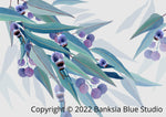 Banksia Blue Studio "Jarrah Dreaming" |Framed Canvas Print Australian Blue Gum Eucalyptus White - Landscape