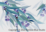 Banksia Blue Studio "Jarrah Dreaming White"|Australian Eucalyptus Leaf Framed Wall Print Black-Landscape