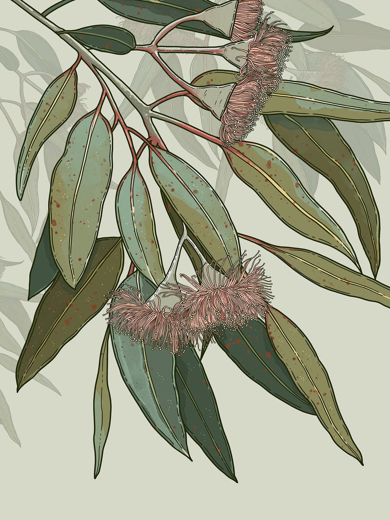 Banksia Blue Studio "Kooyong"| Australian Eucalyptus Framed Wall Print Black-Portrait