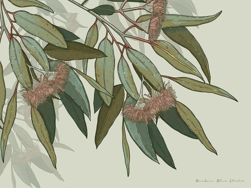 Banksia Blue Studio "Kooyong" |Australian Eucalyptus Unframed Wall Art Print - Landscape