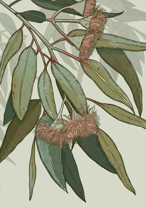 Banksia Blue Studio "Kooyong" |Australian Eucalyptus Unframed Wall Art Print - Portrait