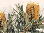 Banksia Blue Studio "Mirambeena 2"|Australian Coastal Banksia Framed Wall Print Black-Landscape