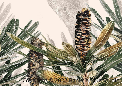 Banksia Blue Studio "Mirambeena 3" |Australian Banksia Canvas Art Print - Landscape