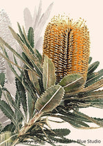 Banksia Blue Studio "Mirambeena"|Australian Banksia Canvas Art 2-Portrait