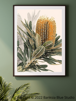 Banksia Blue Studio " Mirambeena"|Australian Banksia Framed Wall Print 2 Black-Portrait