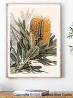 Banksia Blue Studio " Mirambeena"|Australian Banksia Framed Wall Print 2 Natural-Portrait