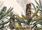 Banksia Blue Studio " Mirambeena"| Framed Canvas Print Australian Banksia Print 3-Landscape
