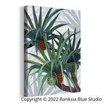Banksia Blue Studio Stretched Canvas"Beacon Of The Bush"  & "Iluka" Set Of 2 Framed Art Prints