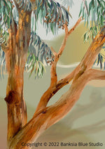 Banksia Blue Studio Stretched Canvas Set Of 2  "Yallaroo" & "Tanderra"
